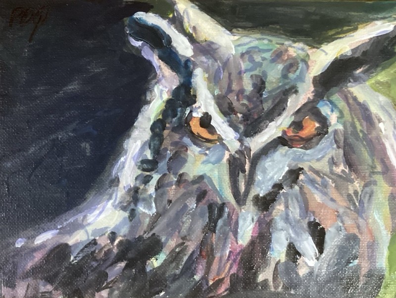 PDQ  Artist Original Painting Animal Bird Owl Impressionistic Acrylic 6x8 Canvas