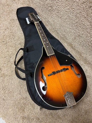 Fender FM-300 Mandolin w/ Bag