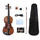 Advanced 5 String Electric Acoustic Violin 4/4 Full Size Maple Spruce Pro Tone