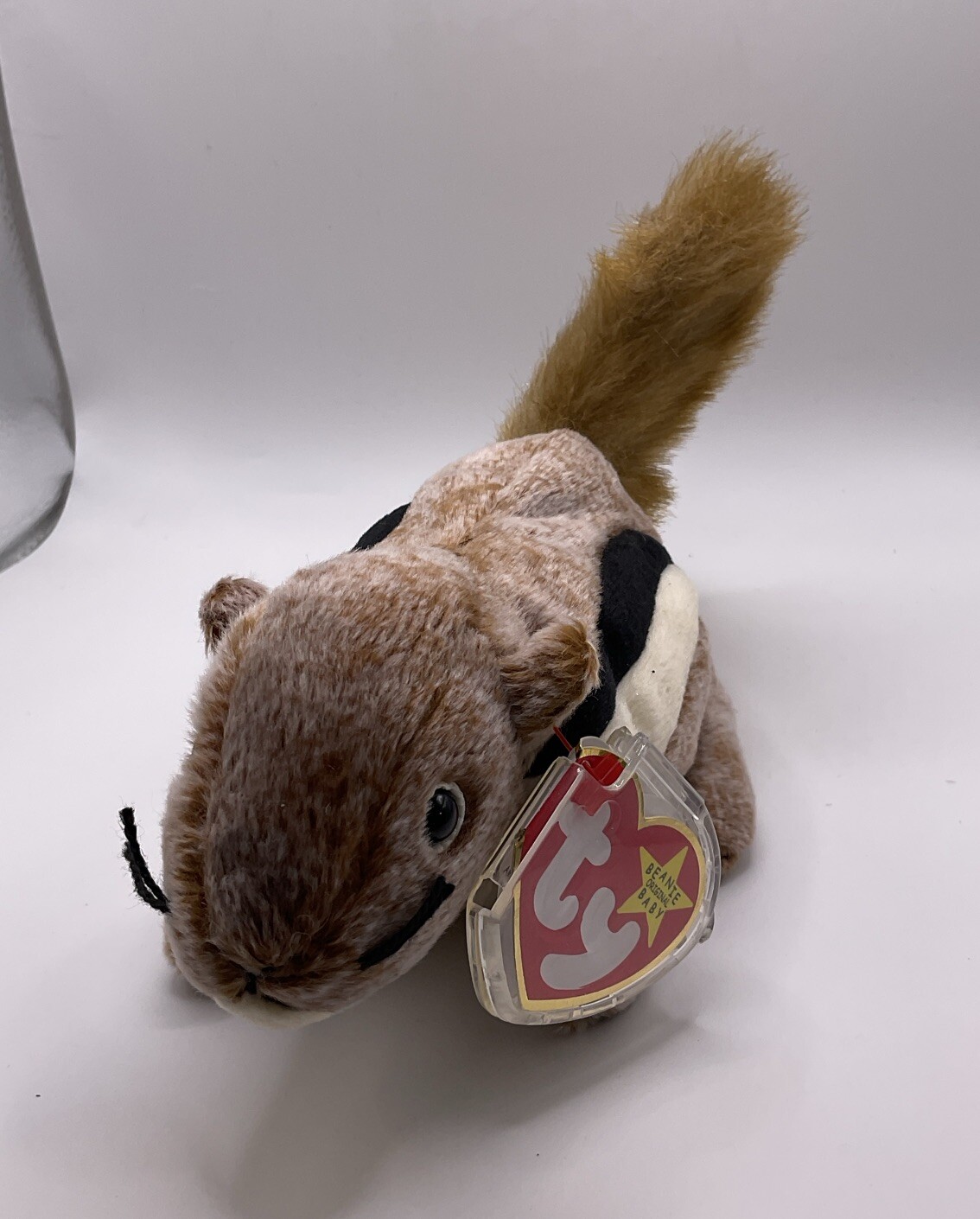 Ty Beanie Babies Chipper The Chipmunk With Tag In Plastic Protector Retired A