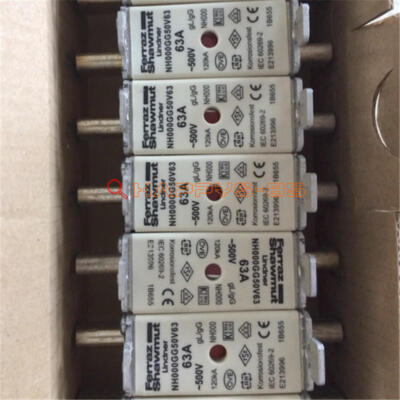 1PCS Ferraz Shawmut Sicherung NH000GG50V63 63A 500V Neu