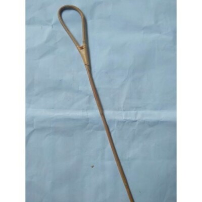 CANE STICK 2PCS Rattan Scholastic Punishment Teachers Headmistress NEW