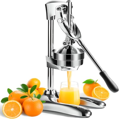geschirr im angebot Entdecken Sie unser für ein stilvolles Zuhause swan b2b