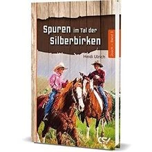 Spuren im Tal der Silberbirken: Band 3 von Ulrich, H... | Buch | Zustand wie neu - Bild 1 von 2