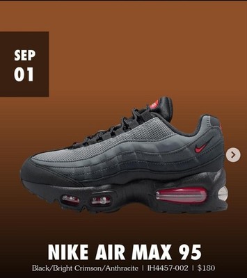 Nike Air Max 95 | Gr. 39 | Neu mit Karton