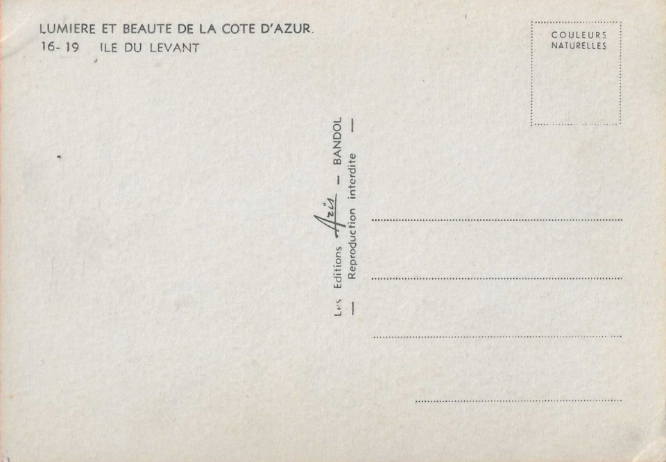 Risque amateur Beauty Nude Woman RPPC Vintage Exotic Real Photo 1970s