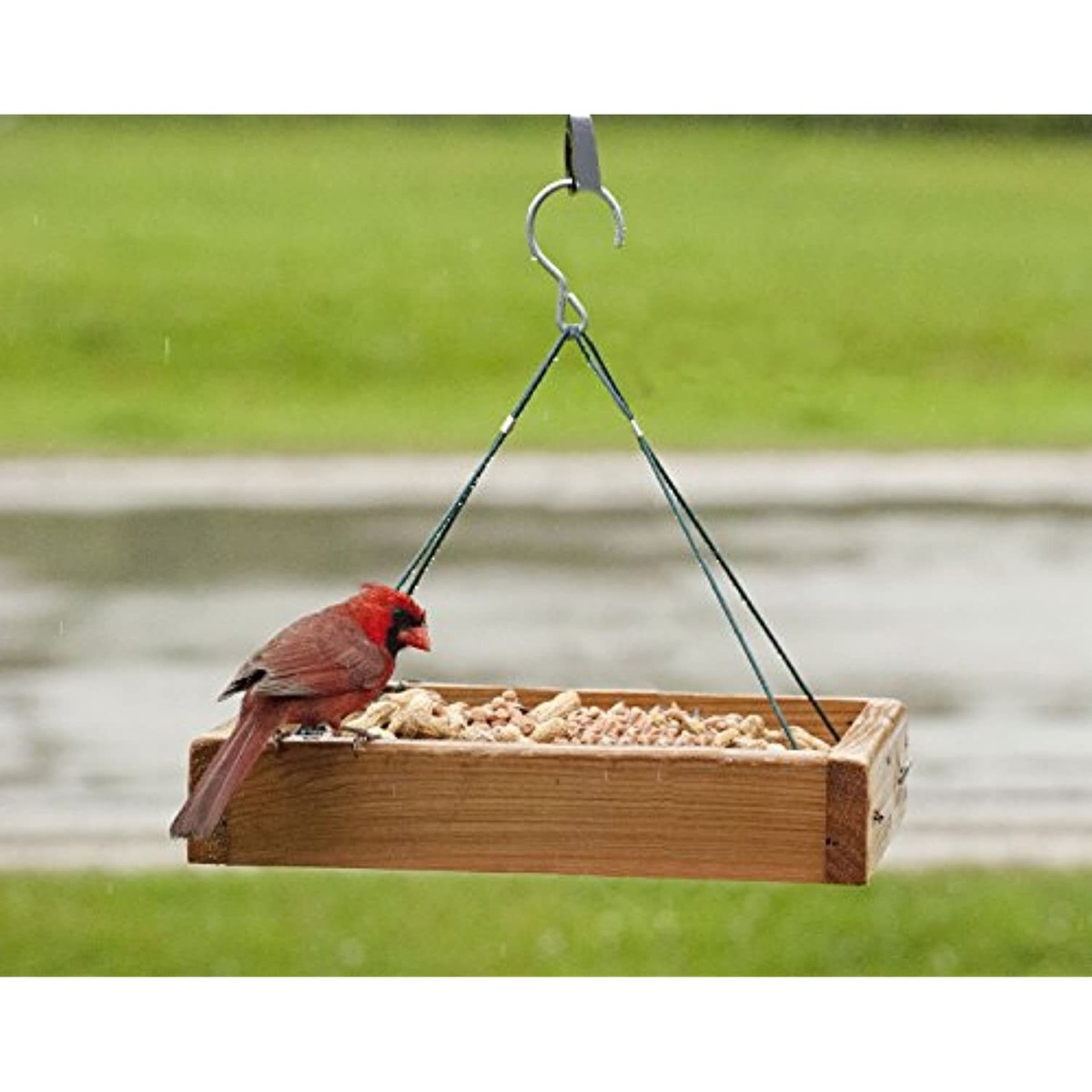 Woodlink Audubon Vogelfutterstation NATUBE3 – Eichhörnchensicher, Für Gemischtes Saatgut