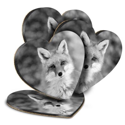 4x Herz MDF Untersetzer - BW - Ingwerfuchs Wildtiere #41006