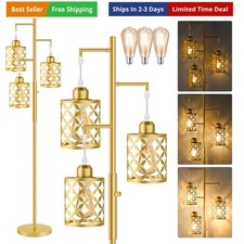 68" Dimmable Floor Lamp, Modern Standing Lamp with Elegant Metal Cage, Indust...