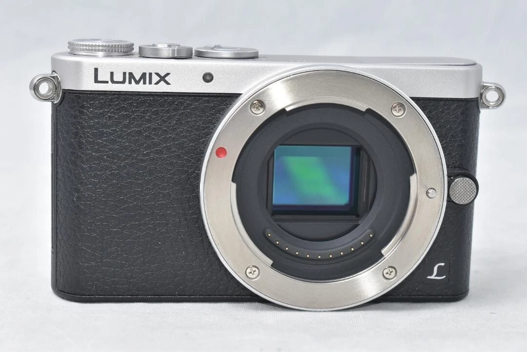 Panasonic LUMIX GM1 14-16.9MP Digital Cameras for Sale | Shop New