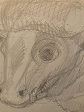 Dessin Crayon Vache art Corrida Tauromachie 1960 Animal Taureau Drawing Old XXe