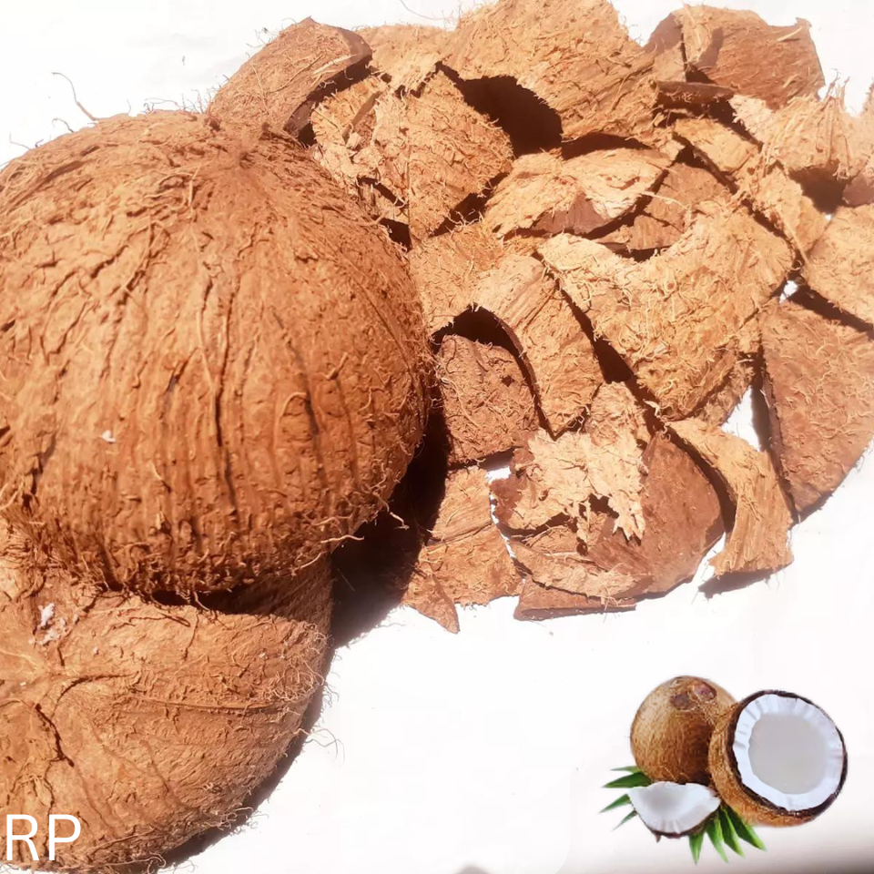 Coconut shell chips eco friendly 100 natural pure product ceylon