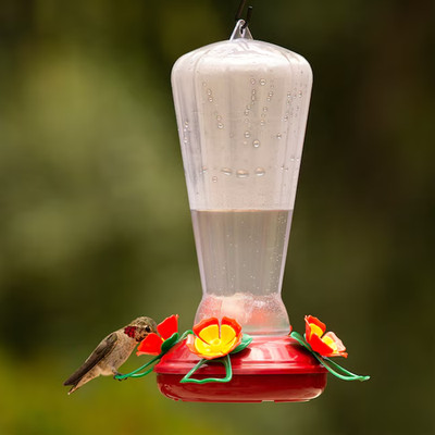 Perky-Pet Hummingbird Feeder Plastic Hanging Hummingbird feeder - 25-oz