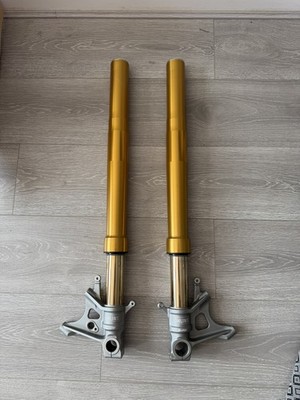 Aprilia Tuono V4 1100 Ohlins Vordergabel 2018 (nicht elektrisch) FL9320 2017-2020