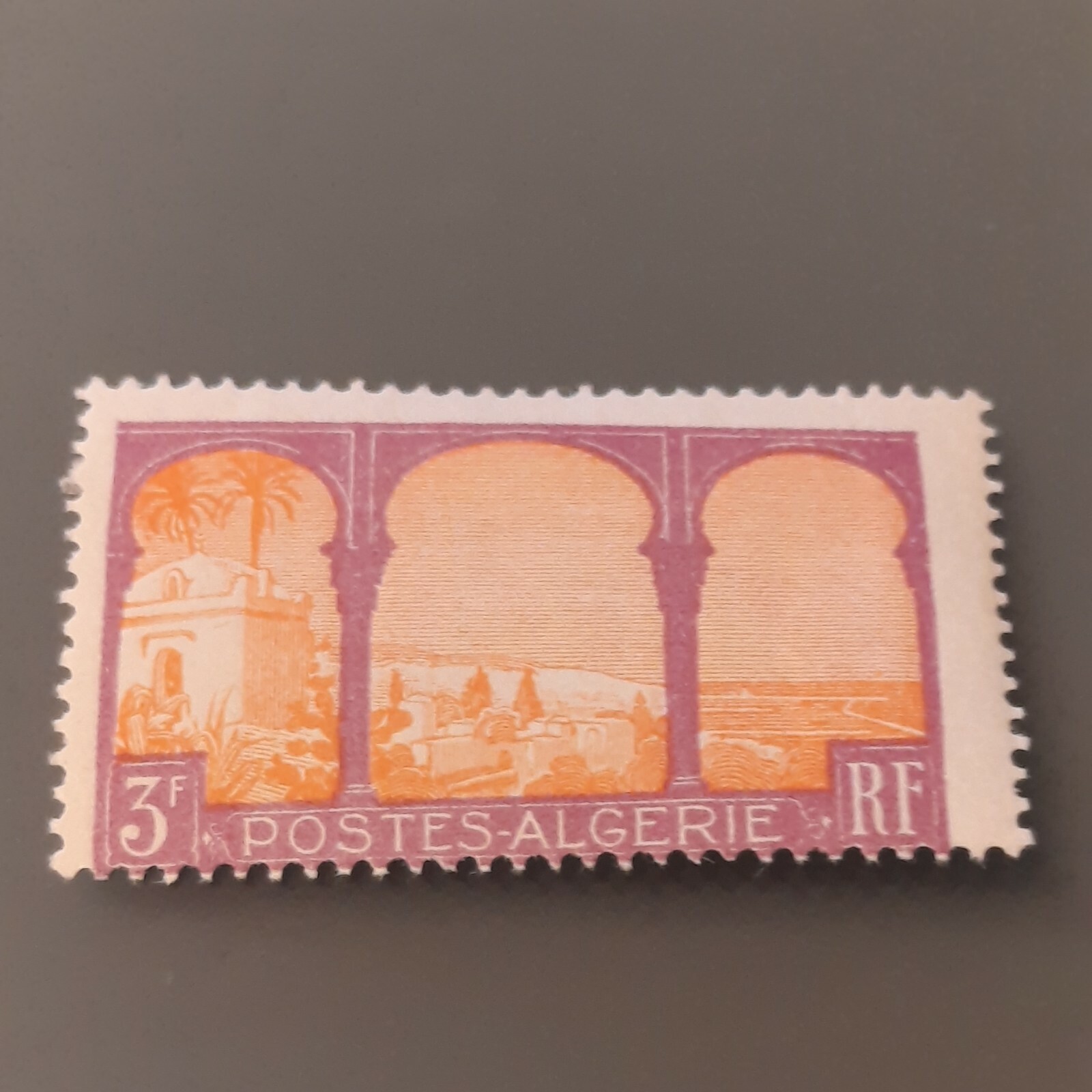 Rare Stamp of French Colonial Algeria N°55 Collectible Edition