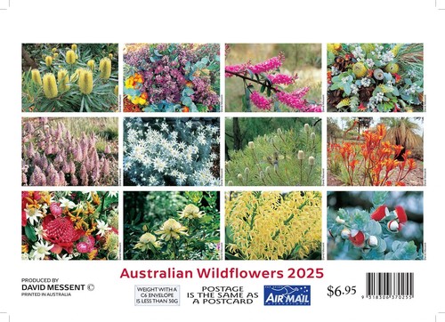 2025 Calendar Australian Wildflowers Mini Wall David Messent MWF - Picture 3 of 5