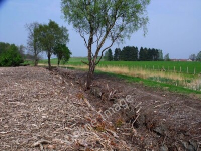 Photo 6x4 Larbert House Policies Interesting ditch which runs in a north, c2011