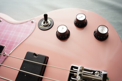 ESP BanG Dream! VIPER BASS Rimi Ushigome Poppin' Party mini