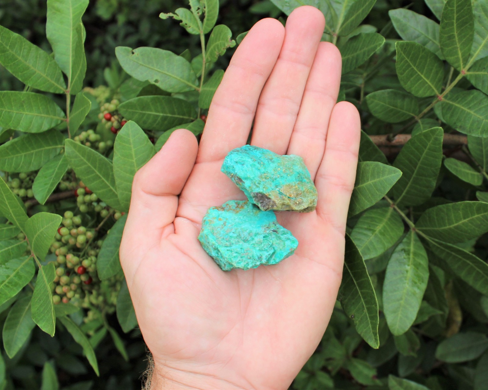 Turquoise Rough Natural Stones: Choose How Many (A Grade Raw Turquoise Crystals)
