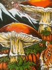 Twiddle & Dopapod Print Signed Mission Ballroom Denver CO NOV 6th 2021 #33/100 — photo 8