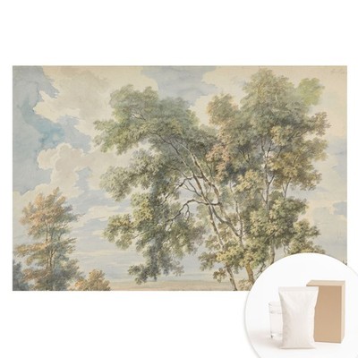 High Quality Non-Woven Wall Mural A Soothing Landscape Of Trees And Sky