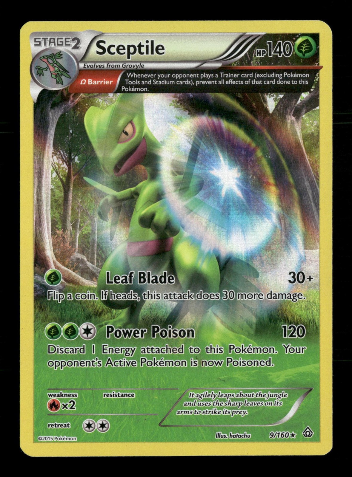 Sceptile Primal Clash 9/160 Holo Pokemon Holo Moderately Played hatachu