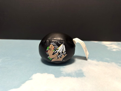 UND University of North Dakota Fighting Sioux Franklin Sports Mini soft Ball