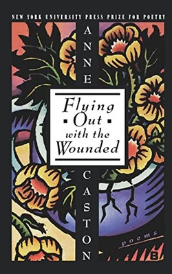 Ausfliegen mit Verwundeten (Bibliothek für berufliche Entwicklung) - Caston, Anne