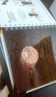 Bild 11 von 13