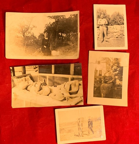 1920-30’s Family Snapshot Photograph Lot 100 + Vacation Cars Livestock Kids - Picture 7 of 8