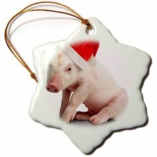 3dRose Christmas Pig 3 inch Snowflake Porcelain Ornament