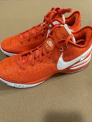 Nike Zoom LeBron NXXT Gen TB Promo Team Orange White  Men s Sz 13 FN7092-800
