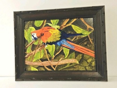 Original Oil On Board Scarlett Macaw Sketch / Painting MCM Wood Frame 15''x12''