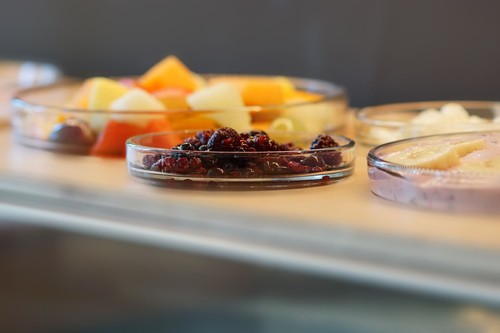5 Tage Reisegutschein Dresden 2 Personen | 4* Wellnesshotel Angebot | Urlaub - Afbeelding 8 van 12