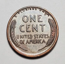 1924 S LINCOLN WHEAT PENNY BETTER GRADE #P2981