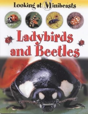 Ladybirds and Beetles (Looking at Minibeasts), Morgan, Sally, Used; Good Book