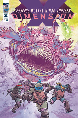 Teenage Mutant Ninja Turtles Dimension X #2 (NM)`17 Farinas/ Freitas  (Cover B)