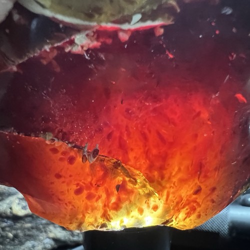 RARE 246 GR NATURAL AMBER PARTLY POLISHED,REDDISH YELLOWISH BROWN - Picture 11 of 23