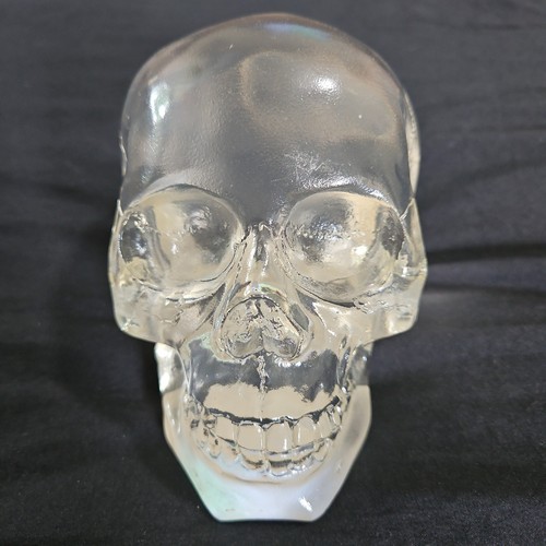 '99 WUI Skull Clear Resin Acrylic Skull Gothic Fantasy Halloween Tattoo Decor 5"