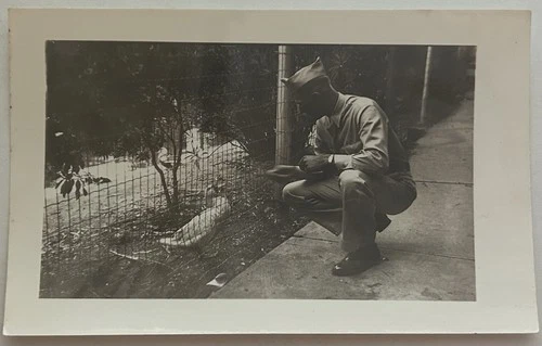 Vintage WWII era US soldier feeding duck photo - original military uniform