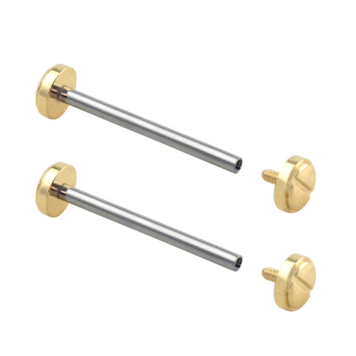 Versace V-Race VC 23C80D watch screw tube for gold band strap link kit-image