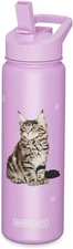 E&S Pets Stainless Steel Water Bottle 24 Oz., Spill Proof (Maine Coon)