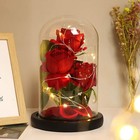 Preserved Eternal Rose in Glass Dome with LED - Gift for Her
