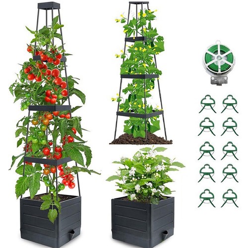 Maceta cama de jardín elevada con enrejado caja jardinera de tomates para flores de vid - Imagen 3 de 11