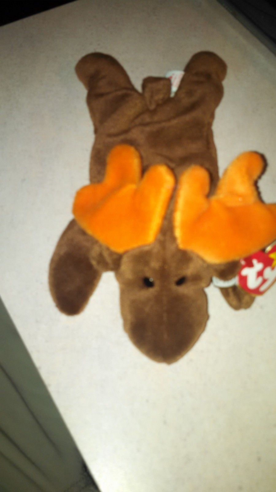 lizzy the lizard beanie baby