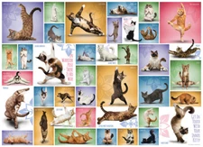 Eurographics Yoga Cats 1000 Piece Jigsaw Puzzle