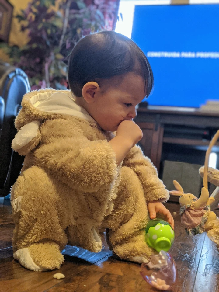 ¿Conejo? Disfraz Halloween o Pascua 9M Solo usado una vez para fotos Foto 3 de 4