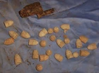 Lot of DUG CIVIL WAR BULETS & RELIC FROM CHANTILLY Va 19)69 Cal bullets Gun part