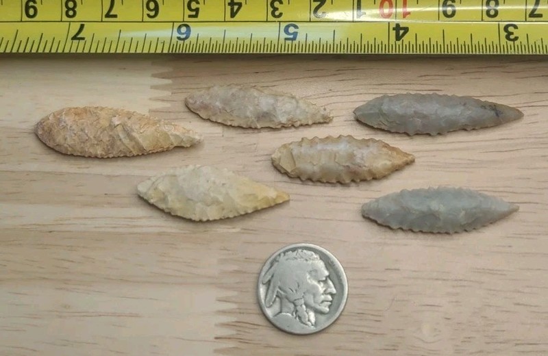 Neolithic Period  Arrowheads Sahara Desert Africa 6 Serrated Willow Leaf Nice 