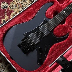 Ibanez Fishman | eBay